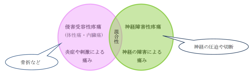 麻酔と痛みのケア